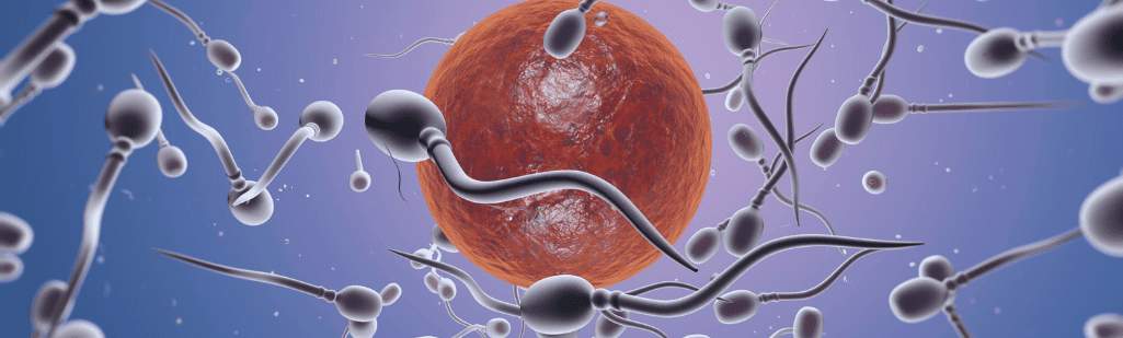 Kokraklar sakrab yuribdi